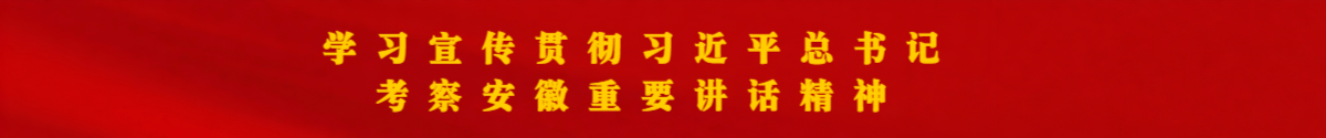 學(xué)習(xí)宣傳貫徹習(xí)近平總書(shū)記考察安徽重要講話(huà)精神